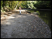 river access at Fall Creek Corridor Park at Fall Creek Rd.